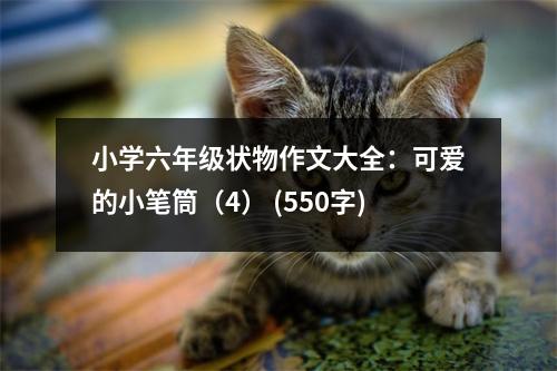 小學(xué)六年級(jí)狀物作文大全：可愛的小筆筒（4） (550字)