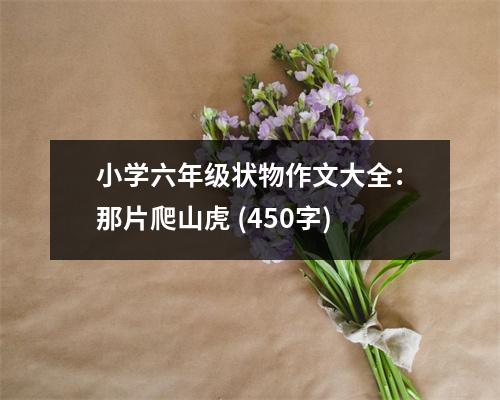 小學(xué)六年級(jí)狀物作文大全：那片爬山虎 (450字)