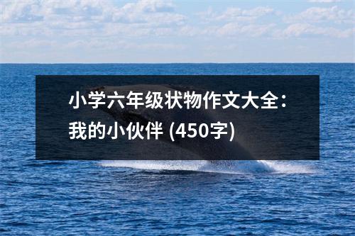 小學六年級狀物作文大全：我的小伙伴 (450字)