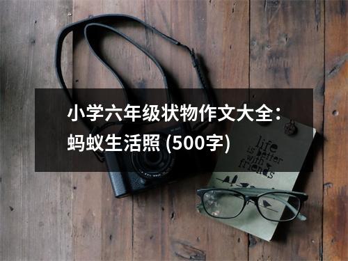 小學六年級狀物作文大全：螞蟻生活照 (500字)