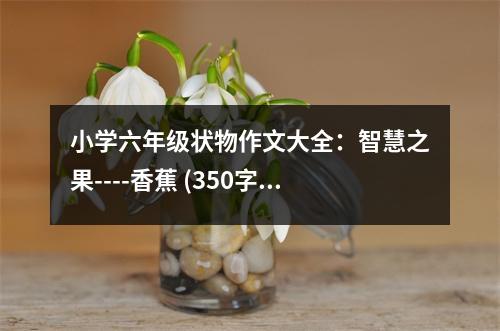 小學(xué)六年級狀物作文大全：智慧之果----香蕉 (350字)