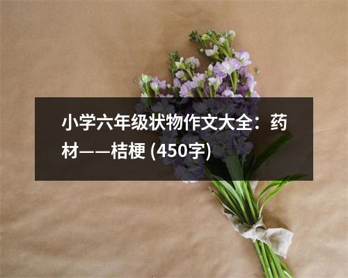 小學(xué)六年級(jí)狀物作文大全：藥材——桔梗 (450字)