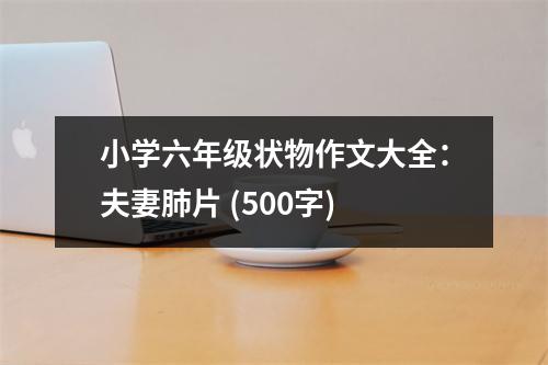 小學(xué)六年級(jí)狀物作文大全：夫妻肺片 (500字)