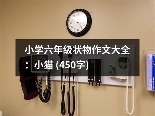 小學(xué)六年級狀物作文大全：小貓 (450字)