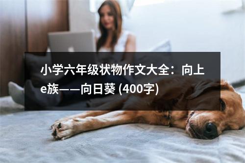 小學(xué)六年級狀物作文大全：向上e族——向日葵 (400字)