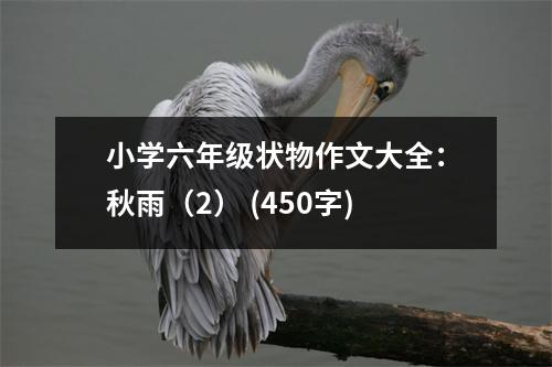 小學(xué)六年級狀物作文大全：秋雨（2） (450字)