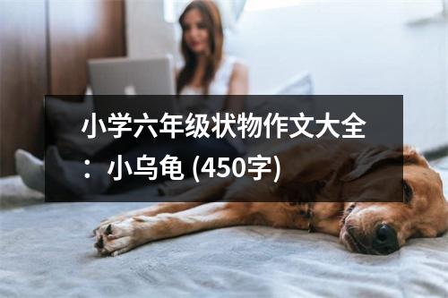 小學(xué)六年級(jí)狀物作文大全：小烏龜 (450字)