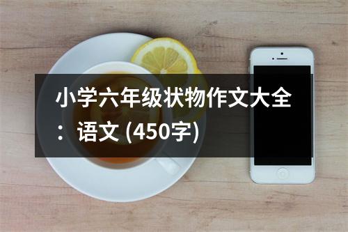 小學(xué)六年級狀物作文大全：語文 (450字)