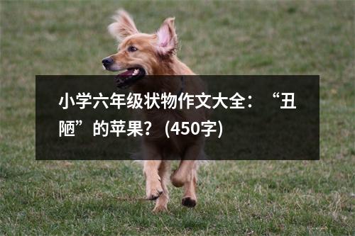小學(xué)六年級狀物作文大全：“丑陋”的蘋果？ (450字)