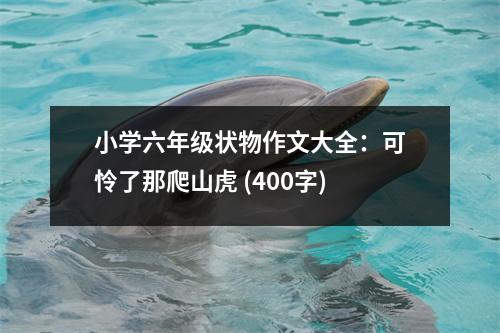 小學(xué)六年級(jí)狀物作文大全：可憐了那爬山虎 (400字)