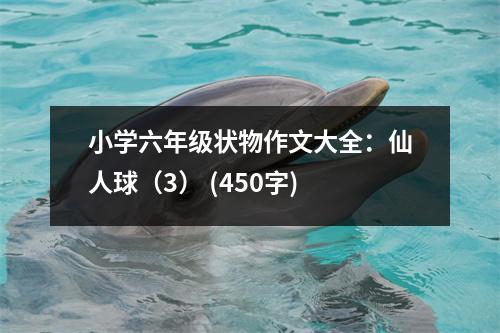 小學(xué)六年級狀物作文大全：仙人球（3） (450字)