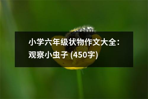 小學(xué)六年級(jí)狀物作文大全：觀察小蟲(chóng)子 (450字)