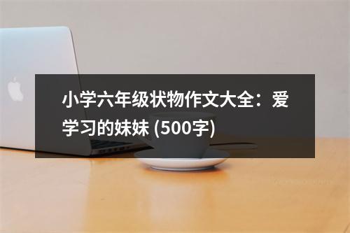 小學(xué)六年級(jí)狀物作文大全：愛(ài)學(xué)習(xí)的妹妹 (500字)
