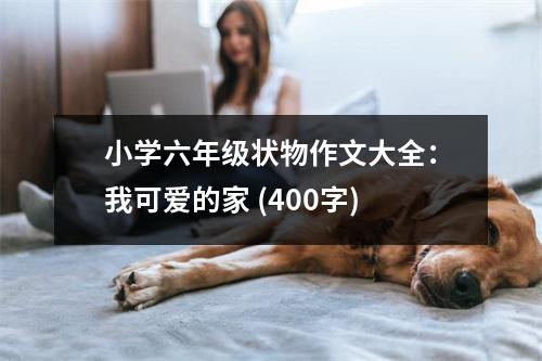 小學(xué)六年級狀物作文大全：我可愛的家 (400字)