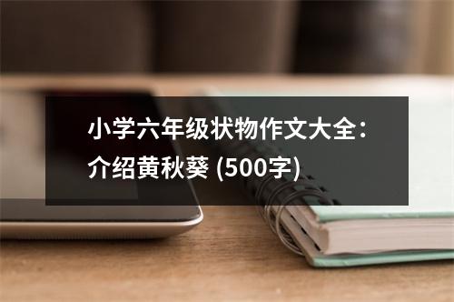小學(xué)六年級(jí)狀物作文大全：介紹黃秋葵 (500字)