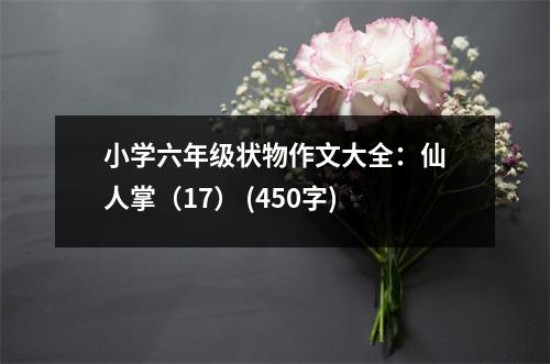 小學(xué)六年級(jí)狀物作文大全：仙人掌（17） (450字)