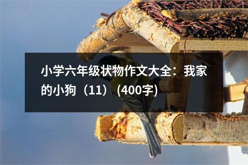 小學(xué)六年級(jí)狀物作文大全：我家的小狗（11） (400字)