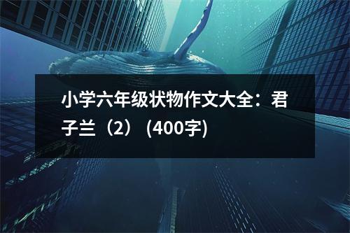 小學(xué)六年級狀物作文大全：君子蘭（2） (400字)