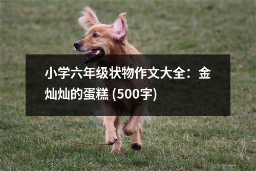 小學(xué)六年級狀物作文大全：金燦燦的蛋糕 (500字)