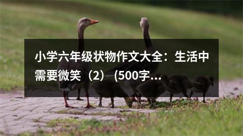 小學六年級狀物作文大全：生活中需要微笑（2） (500字)