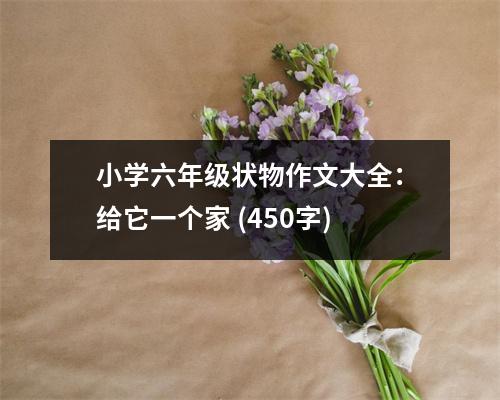 小學六年級狀物作文大全：給它一個家 (450字)