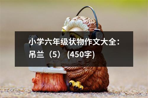 小學(xué)六年級狀物作文大全：吊蘭（5） (450字)