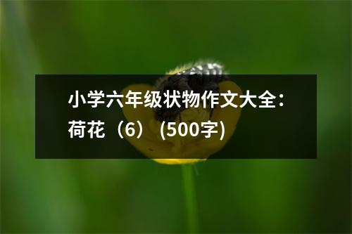 小學(xué)六年級狀物作文大全：荷花（6） (500字)