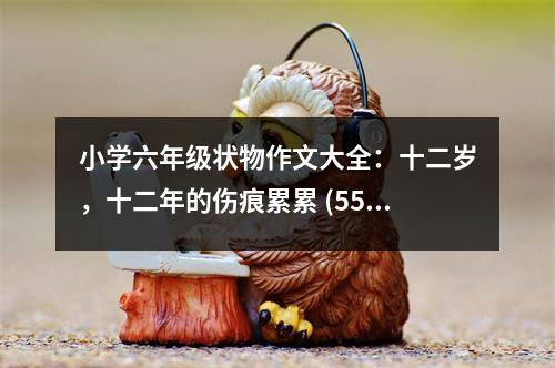 小學(xué)六年級狀物作文大全：十二歲，十二年的傷痕累累 (550字)