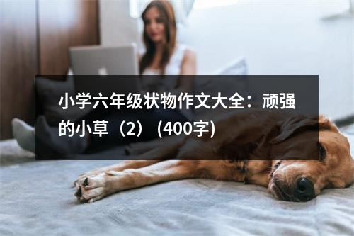 小學(xué)六年級(jí)狀物作文大全：頑強(qiáng)的小草（2） (400字)
