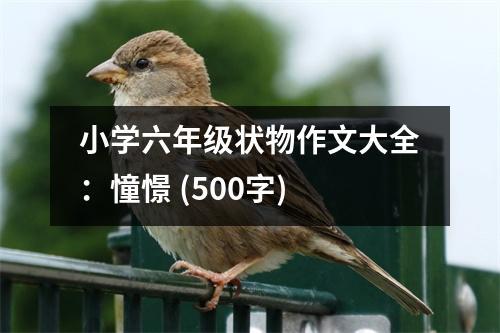 小學六年級狀物作文大全：憧憬 (500字)