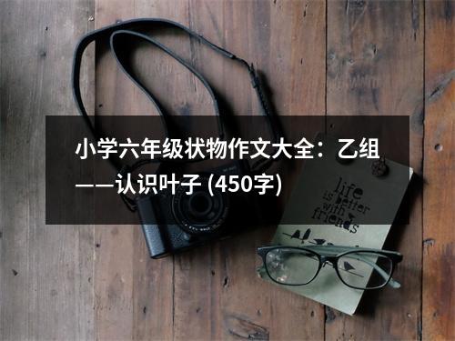 小學(xué)六年級狀物作文大全：乙組——認(rèn)識葉子 (450字)