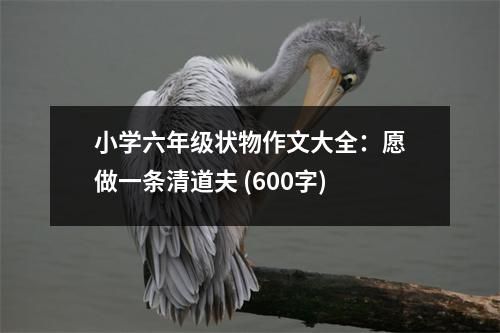 小學(xué)六年級狀物作文大全：愿做一條清道夫 (600字)