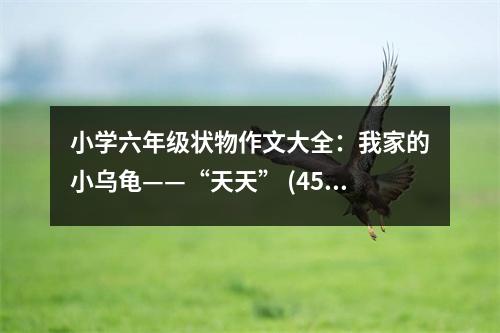 小學(xué)六年級狀物作文大全：我家的小烏龜——“天天” (450字)