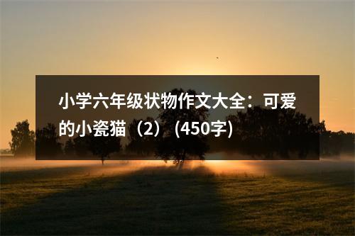小學六年級狀物作文大全：可愛的小瓷貓（2） (450字)