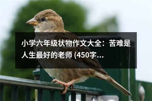 小學(xué)六年級狀物作文大全：苦難是人生最好的老師 (450字)