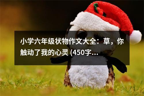 小學(xué)六年級(jí)狀物作文大全：草，你觸動(dòng)了我的心靈 (450字)