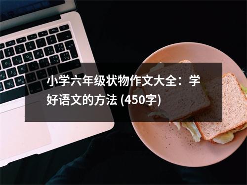 小學(xué)六年級狀物作文大全：學(xué)好語文的方法 (450字)