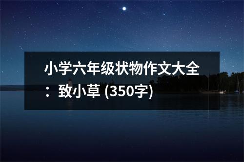 小學六年級狀物作文大全：致小草 (350字)