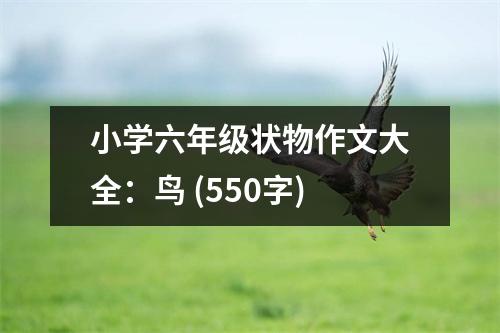 小學六年級狀物作文大全：鳥 (550字)