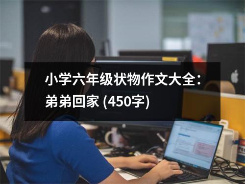 小學六年級狀物作文大全：弟弟回家 (450字)