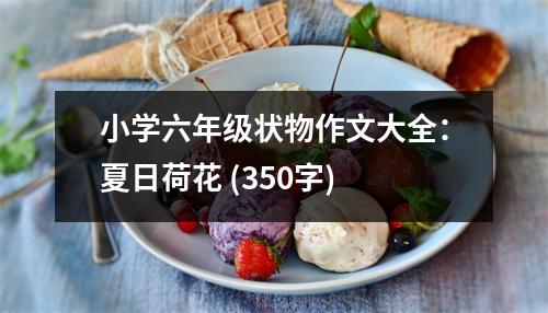小學六年級狀物作文大全：夏日荷花 (350字)