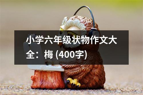 小學(xué)六年級狀物作文大全：梅 (400字)