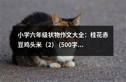 小學(xué)六年級狀物作文大全：桂花赤豆雞頭米（2） (500字)
