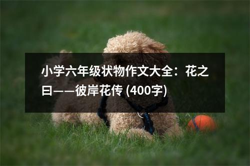 小學(xué)六年級狀物作文大全：花之曰——彼岸花傳 (400字)