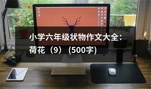 小學(xué)六年級狀物作文大全：荷花（9） (500字)