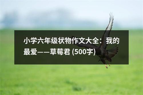 小學六年級狀物作文大全：我的最愛——草莓君 (500字)