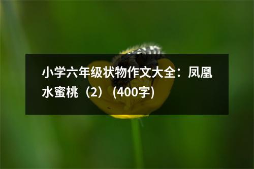 小學六年級狀物作文大全：鳳凰水蜜桃（2） (400字)