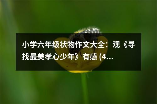小學(xué)六年級狀物作文大全：觀《尋找最美孝心少年》有感 (450字)