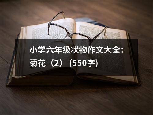 小學(xué)六年級狀物作文大全：菊花（2） (550字)