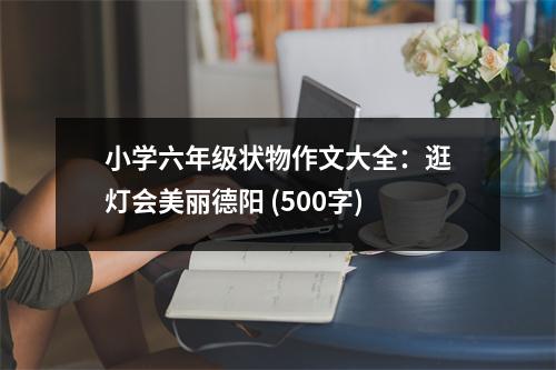 小學(xué)六年級(jí)狀物作文大全：逛燈會(huì)美麗德陽(yáng) (500字)